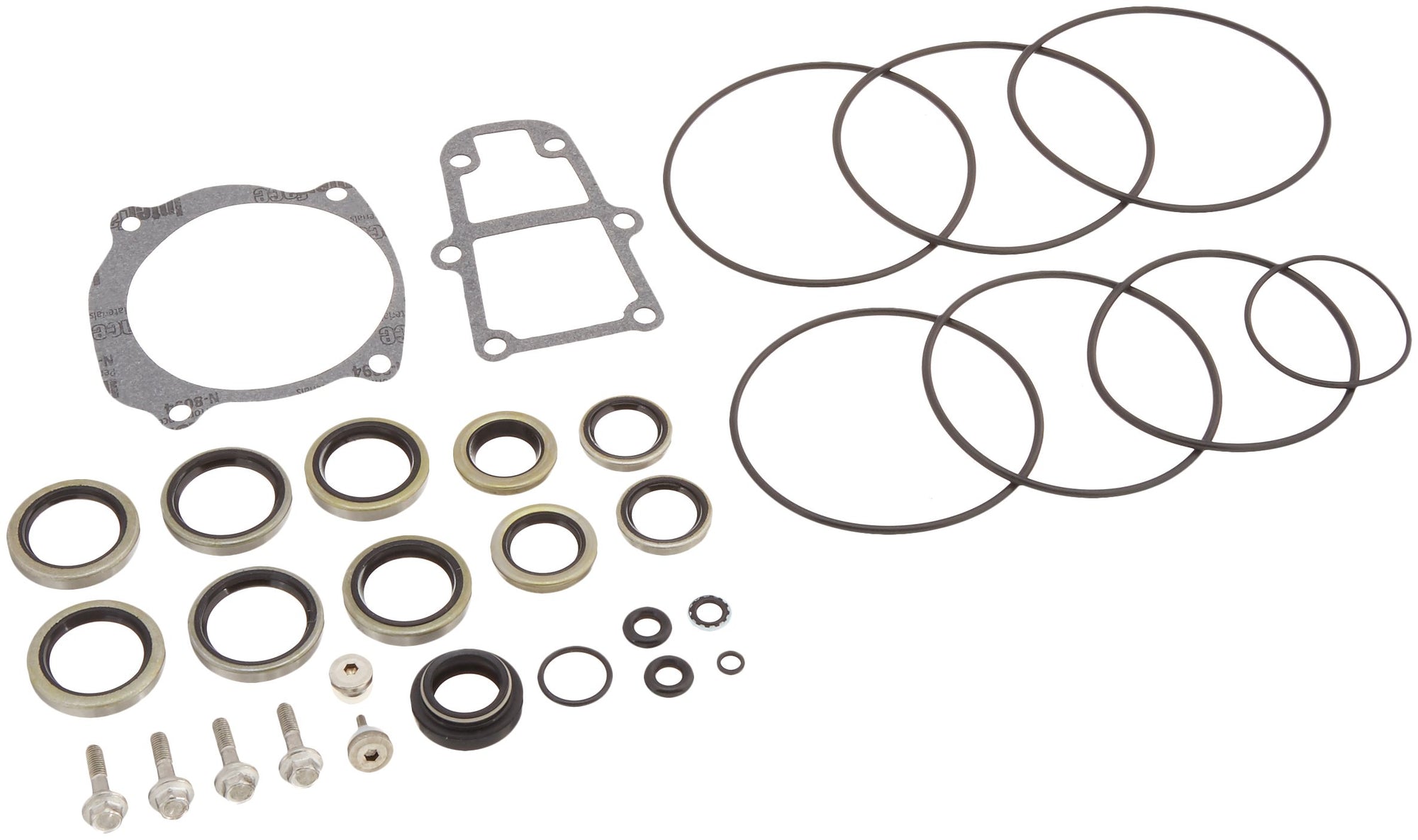 18-8384 Sierra Seal Kit