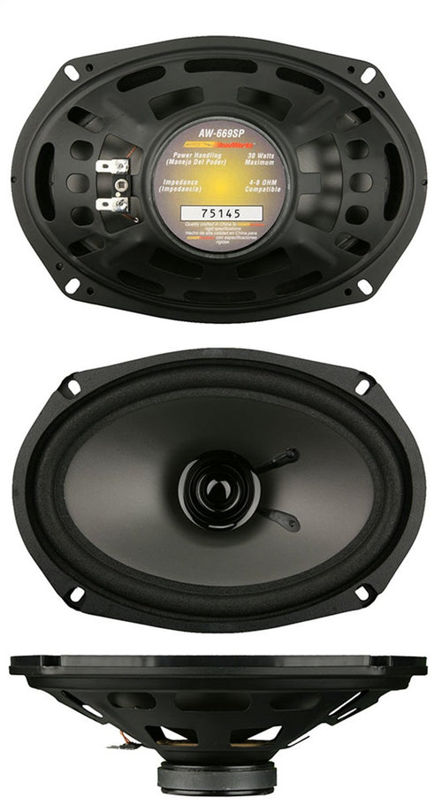 6 X 9 Inch Dual Cone THE INSTALL BAY Speaker - Each (AW-669SP)