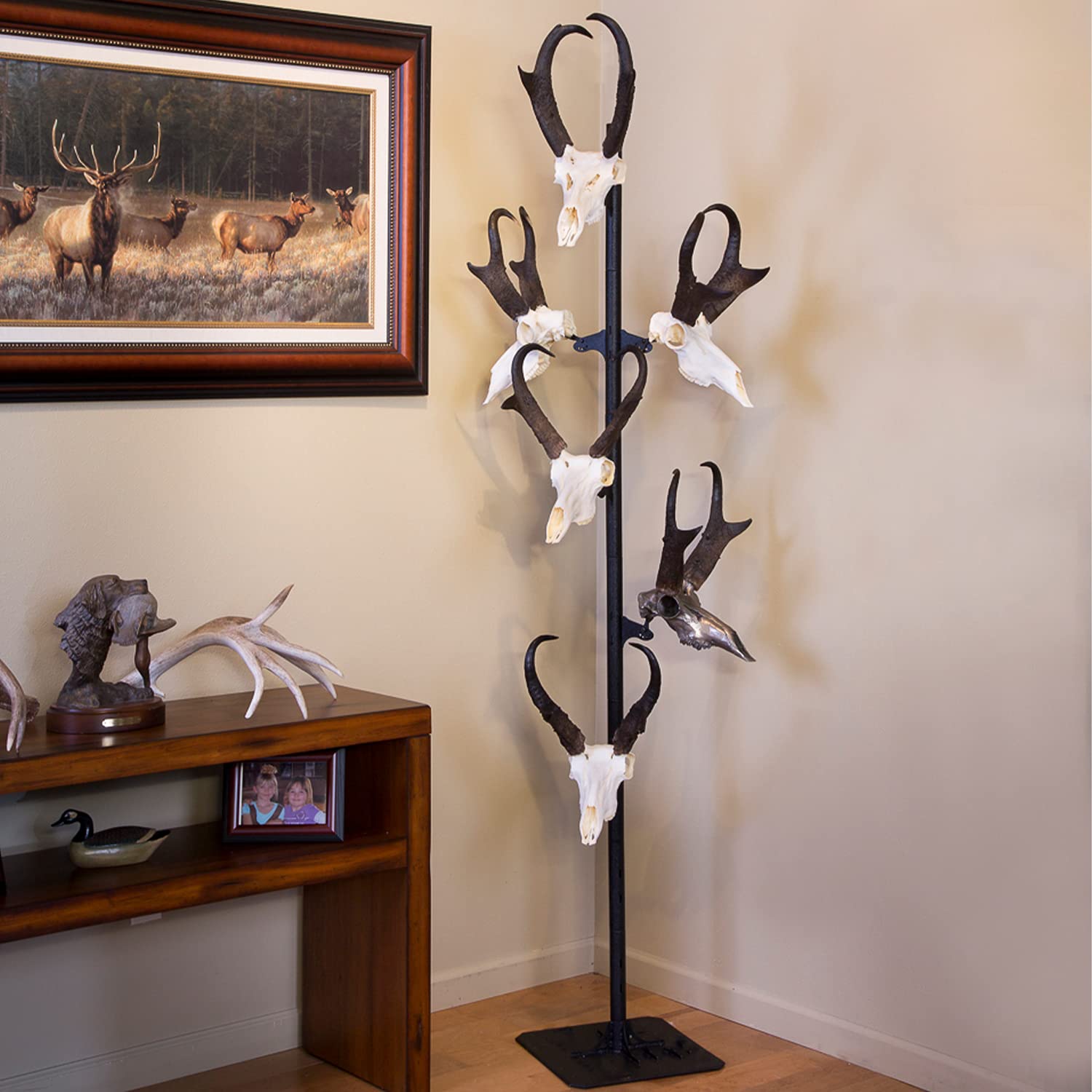 Skull Hooker European Trophy Mount Trophy Tree – Hang up to 5 Taxidermy Deer Antlers and other Skulls for Display – Graphite Black