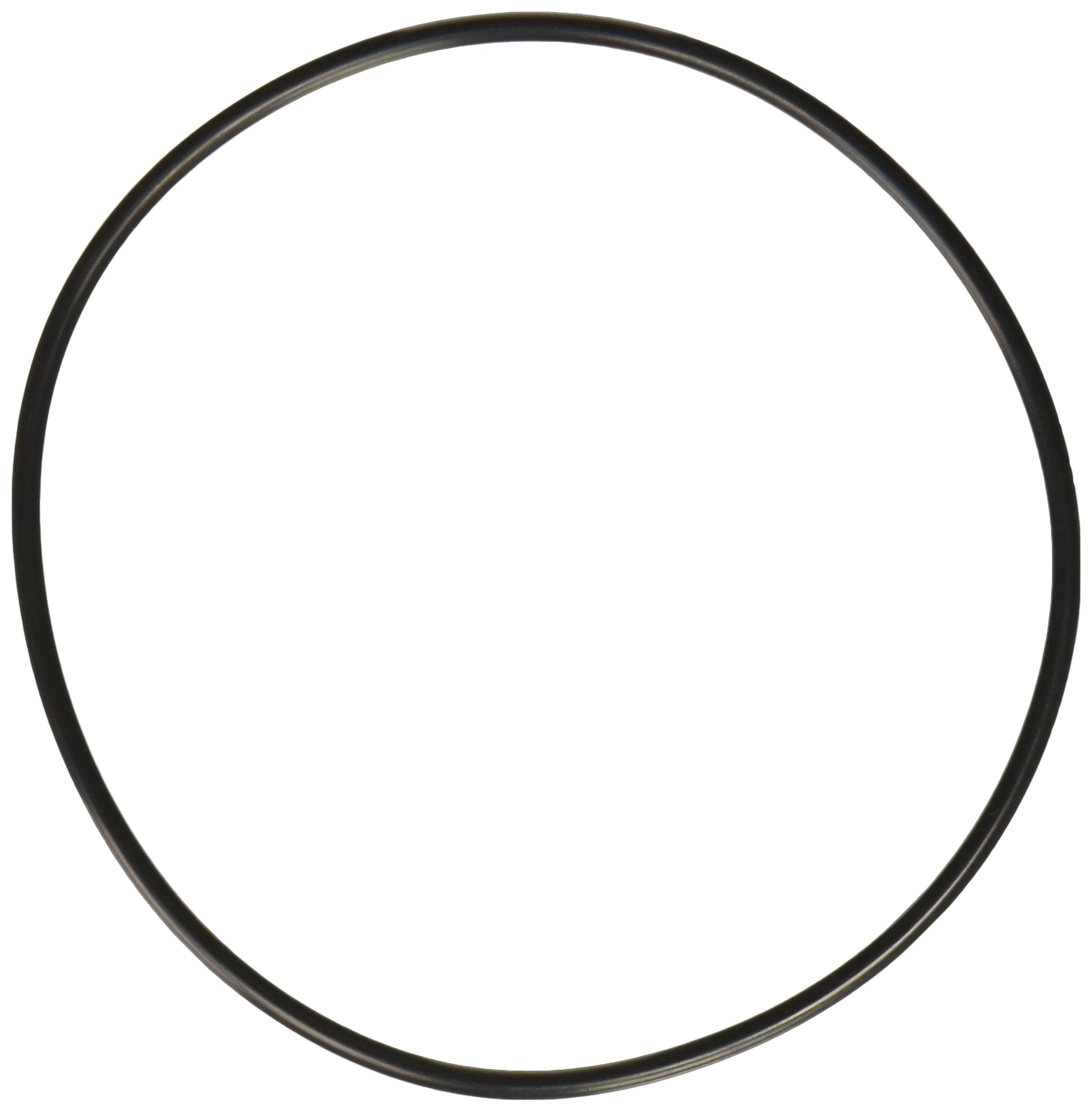 B7A4669B Motive Gear O-Ring, 9"