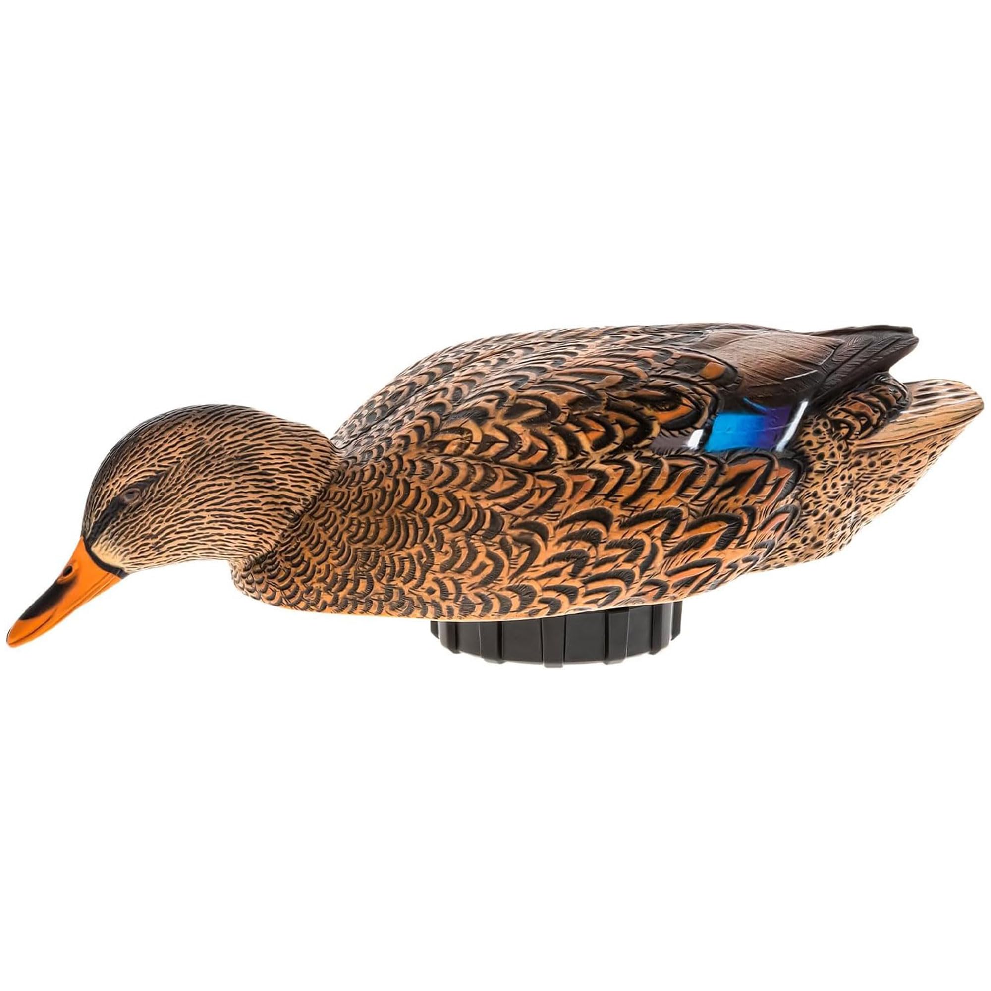 Avian-X Power Shaker Mallard Motion Hen Duck Decoy Floating Surface Feeder for Hunting with Shaker Module Foam Filled Body, Multicolor