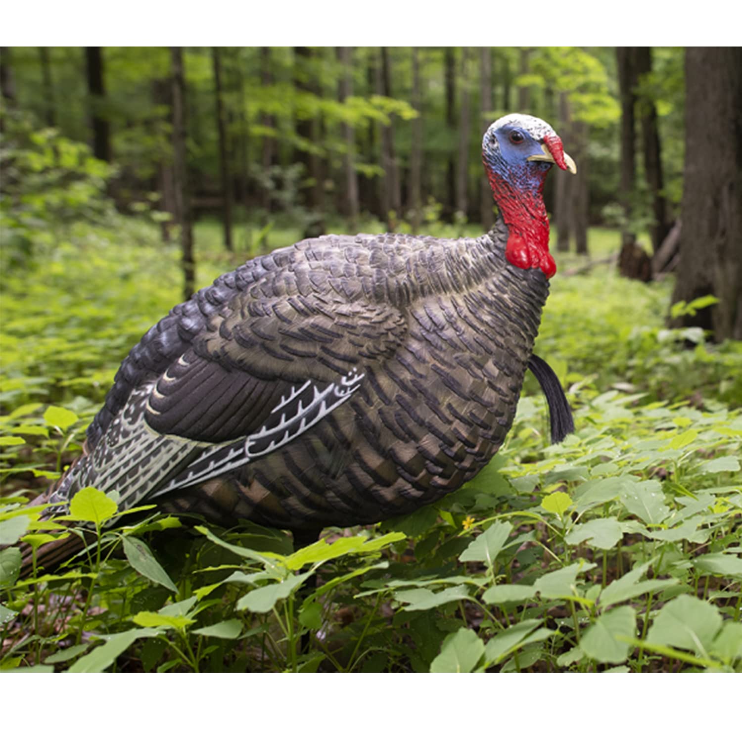 LCD Quarter Strut Jake Avian X Turkey Decoy