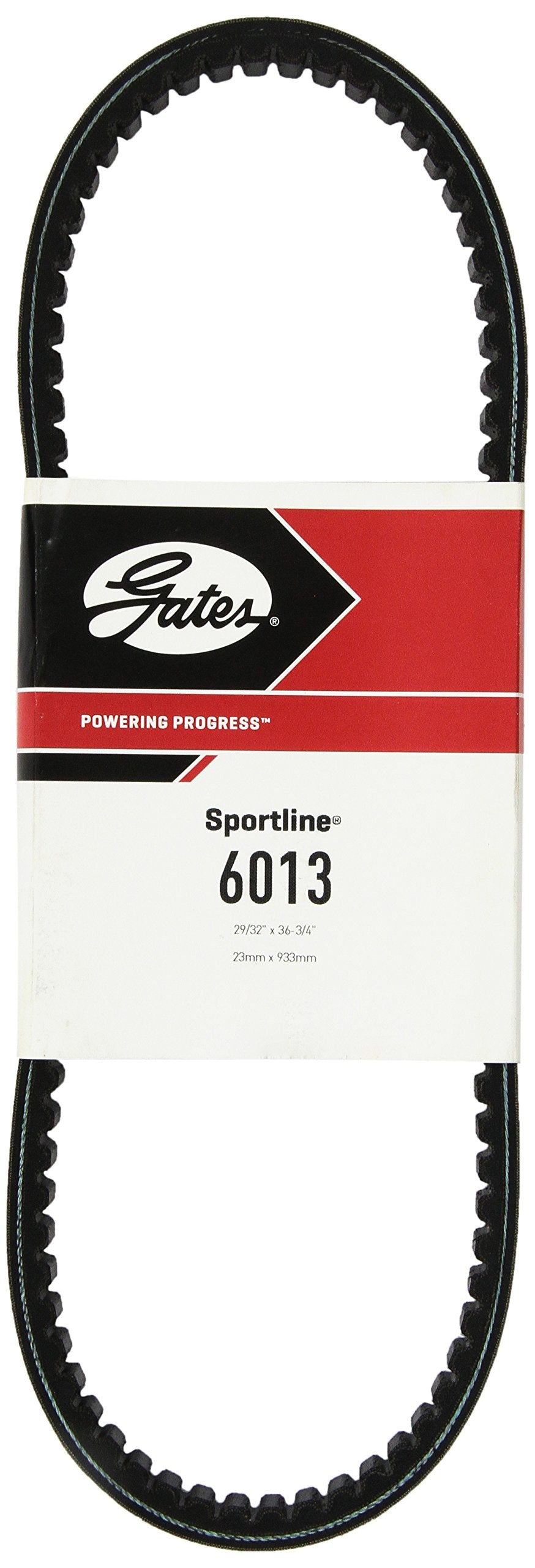 Sportline Gates 6013 Recreational Belt