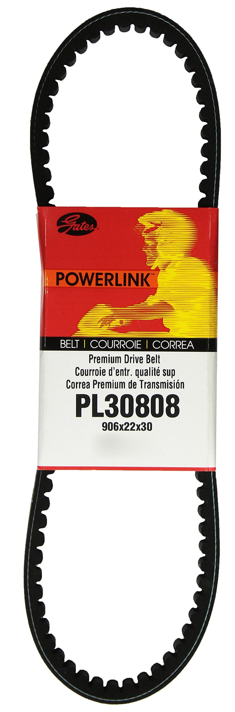 PL30808 Gates Belt