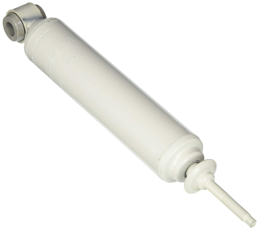 FTS7119 Fabtech Shock Absorber