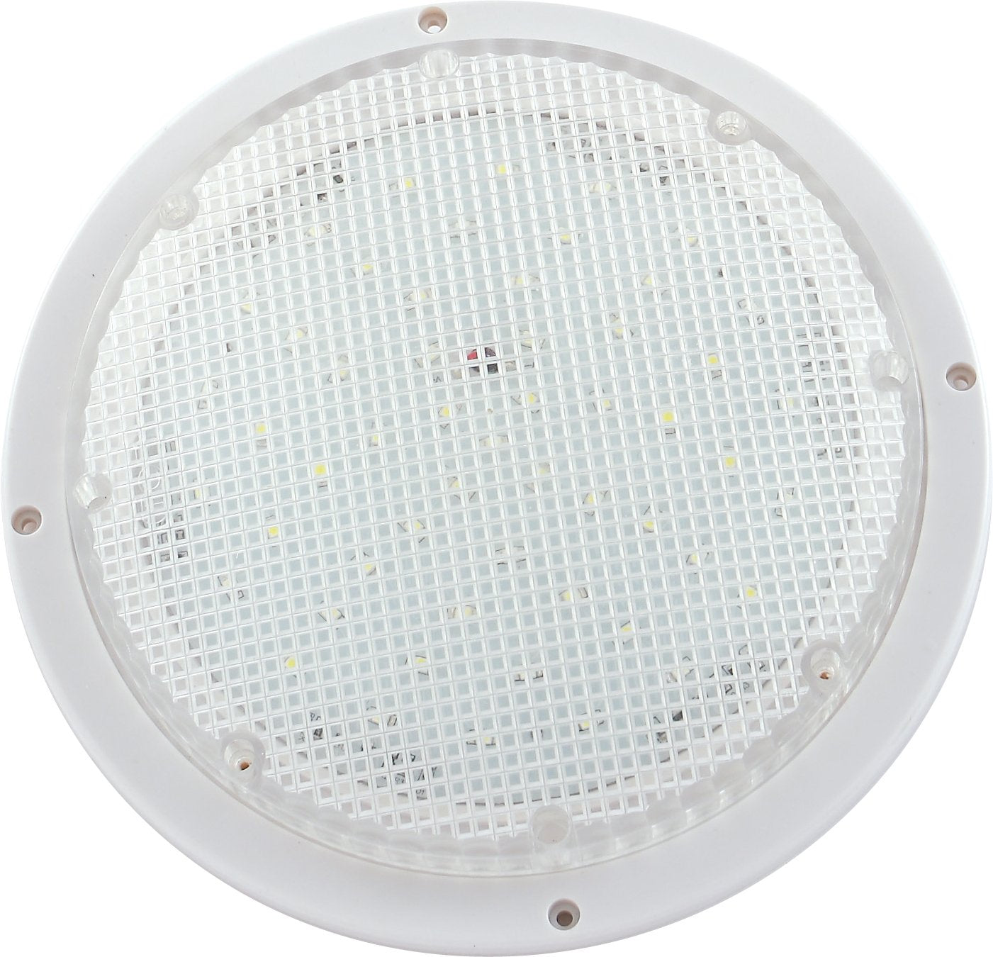 LongLife Green LED Dome Lights (250 Lumens)