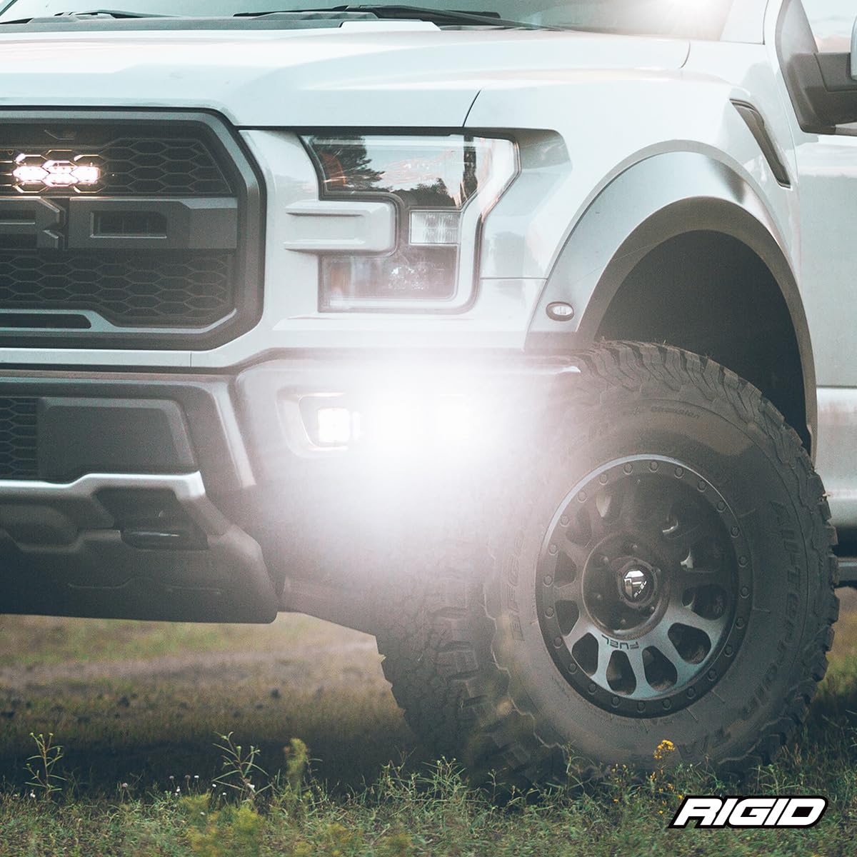 Automotive Light Protector - RIGID INDUSTRIES Exterior Accessories, Black