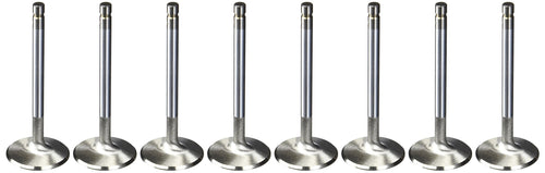 105768 Manley Stainless Steel Performance Valves - Set of 8