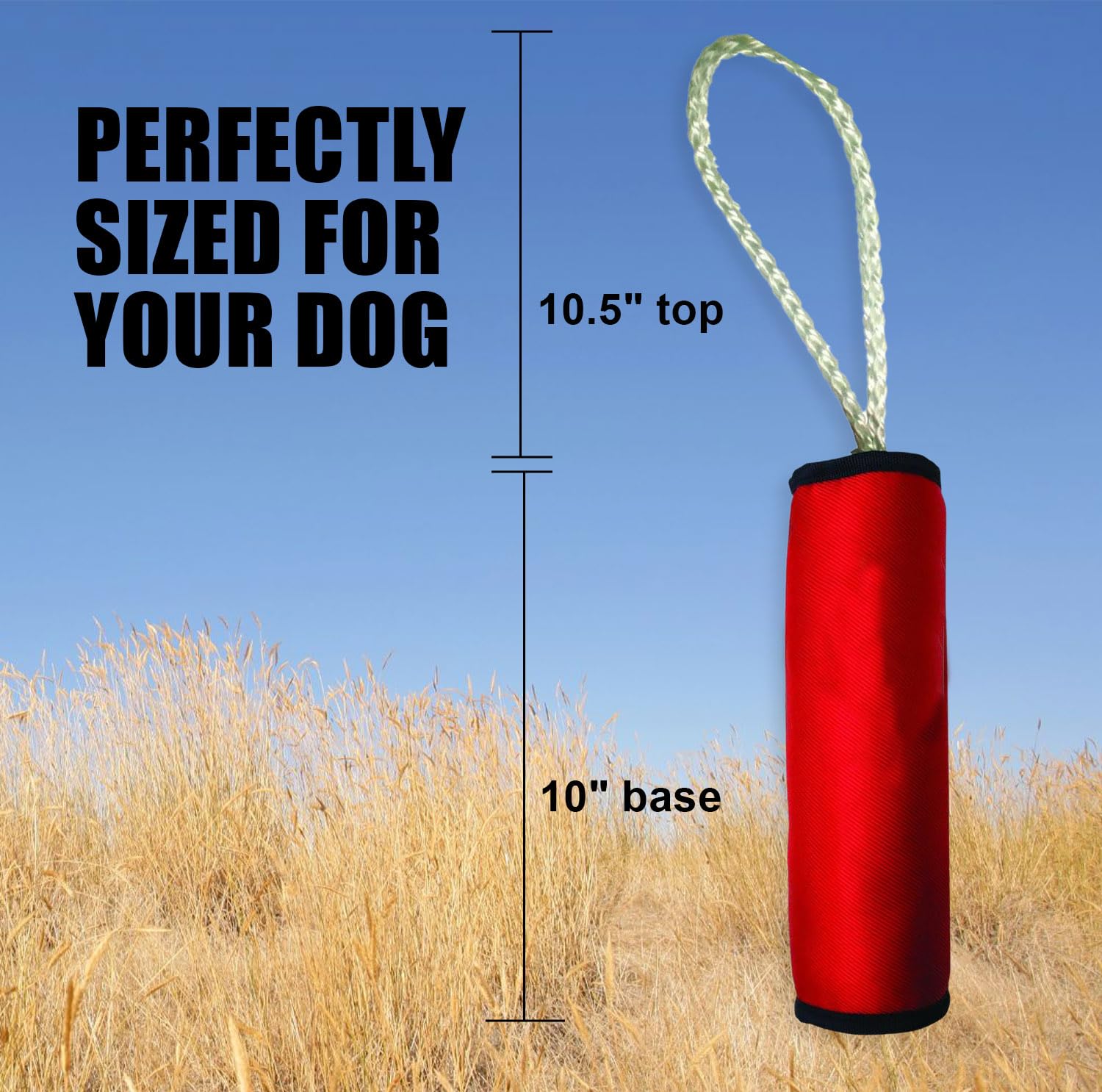 2300 Paws Aboard Training Dummy Toy - Floating Pool Toy, Dog Fetch Accessory, Fun Outdoor Training Tool with Tug Rope, Summer Essential, Suitable for Small, Medium, and Large Dogs