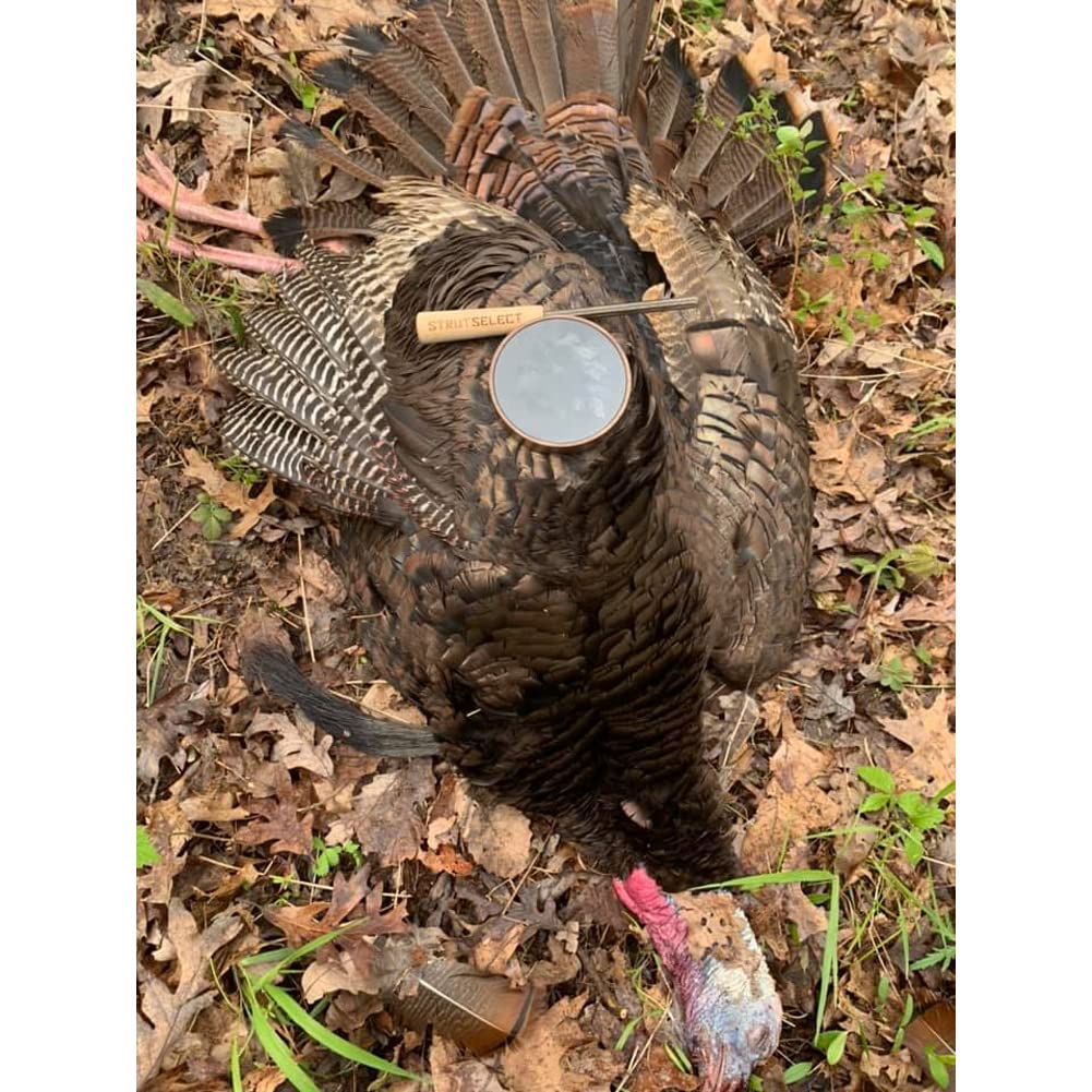Hunters Specialties Closing Time HS Strut Select American Kiln-Dried Walnut Wood Turkey Pot Call, Glass Surface
