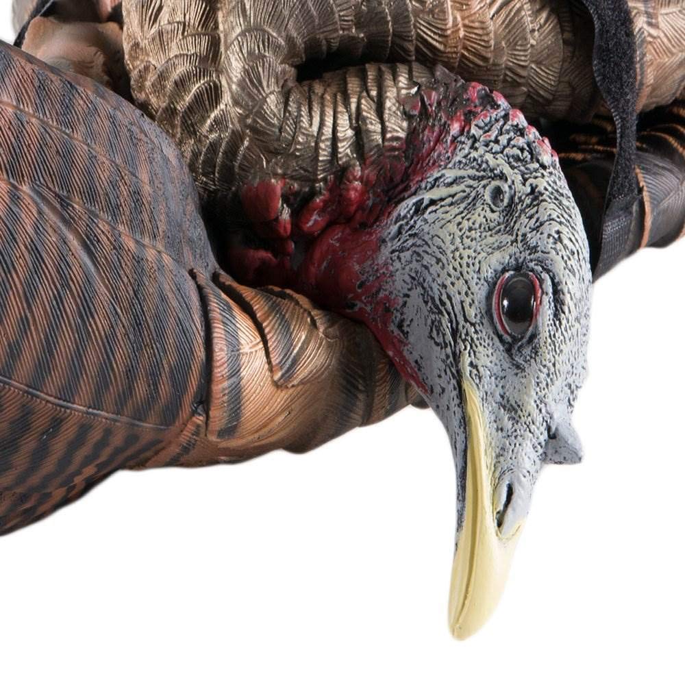 AVIAN-X Feeder LCD Turkey Hen Decoy | Durable Realistic Lifelike Collapsible Standing Hunting Decoy with Carry Bag & Stake, AVX8007