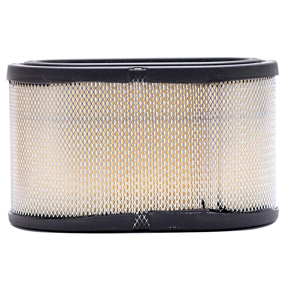 Cummins Onan CUMMINS 140-2897 Air Filter