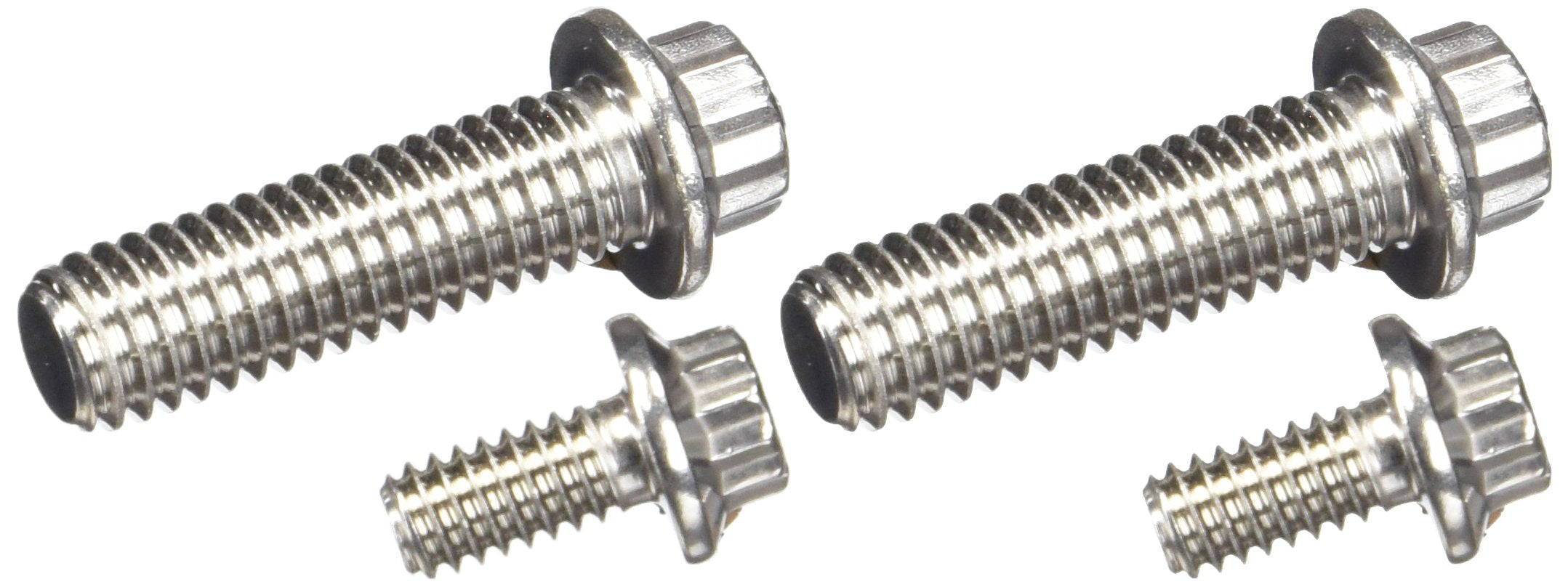 ARP 12-Point 4301601 Stainless Fuel Pump Bolt Kit 300