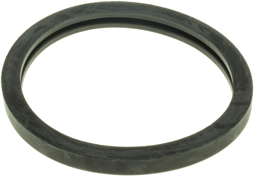 Engine Coolant Thermostat Seal Gates 33660