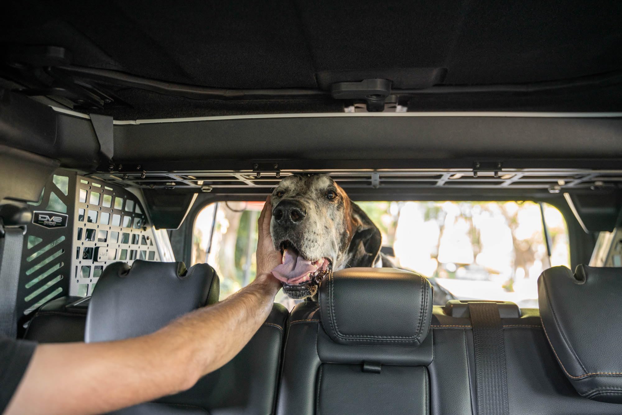Dog Barrier DV8 Offroad for 2021-2025 Ford Bronco | Convenient Flip-Up Design | Push Button Locks | Rubber Isolators for Noise Reduction | Hardtop and Soft Top Compatible | Black Powder Coat | Steel