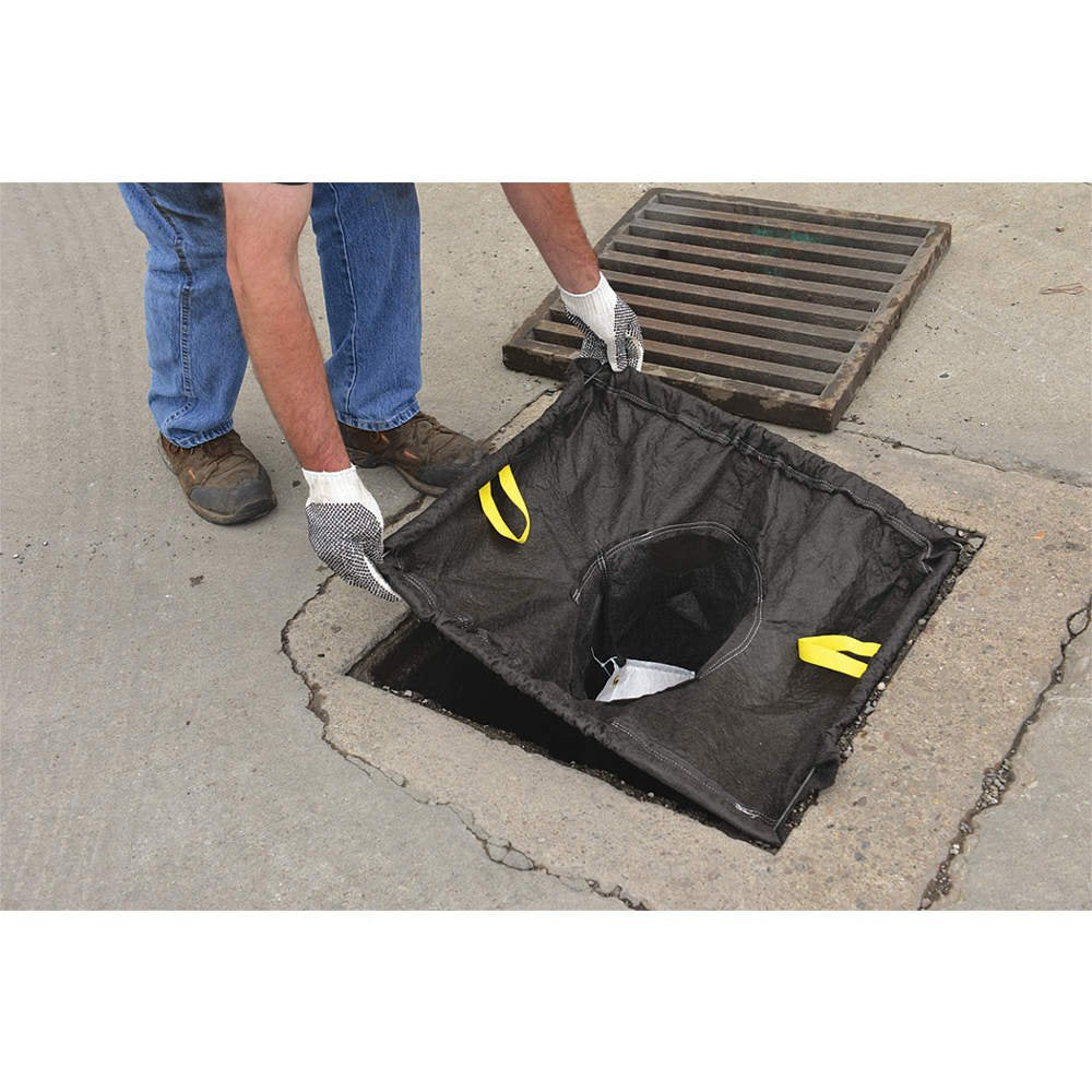 Catch Basin Eagle Insert,28 in,38 in.