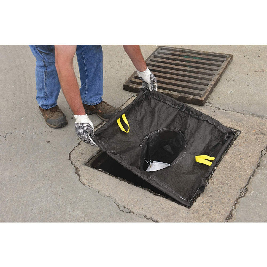 Catch Basin Eagle Insert,28 in,38 in.