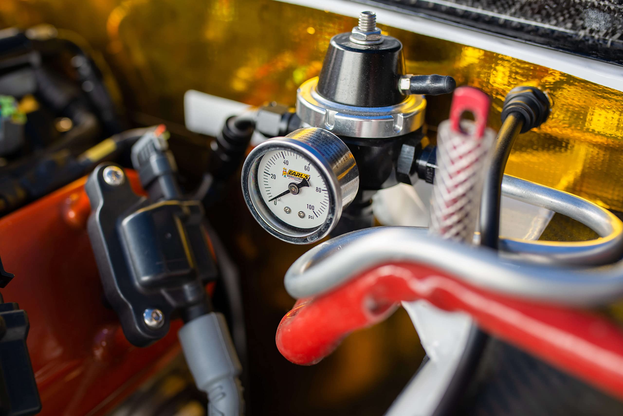 100187ERL Earl's Pressure Gauge
