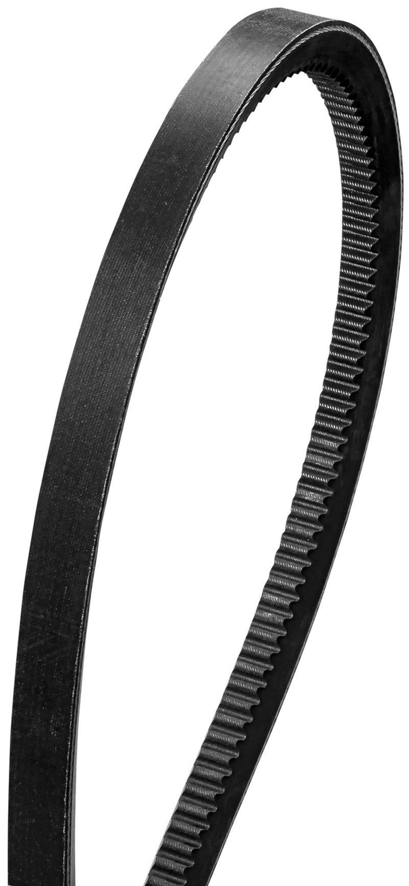 Power Belt