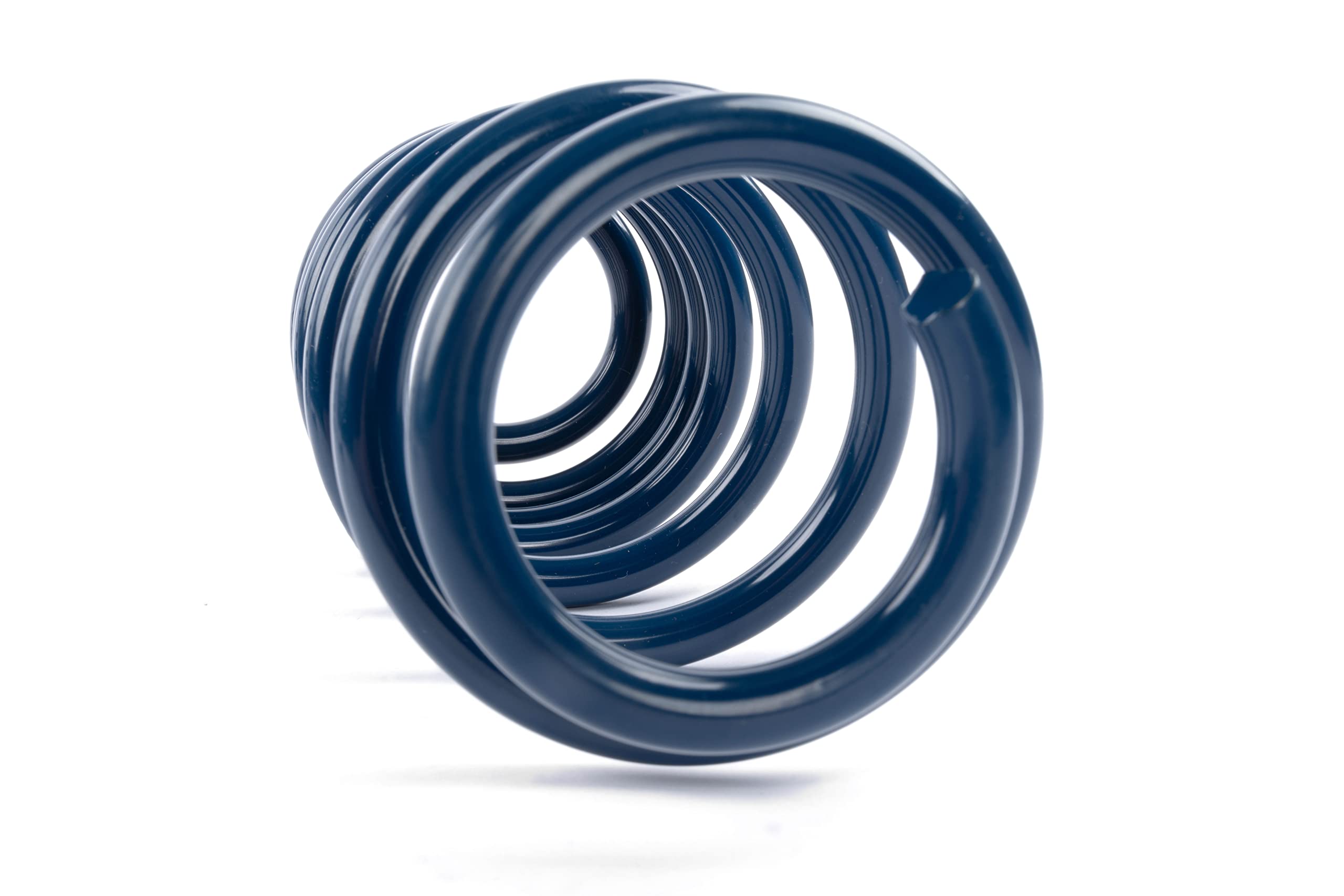 Dinan Performance D100-0937 Coil Spring Set