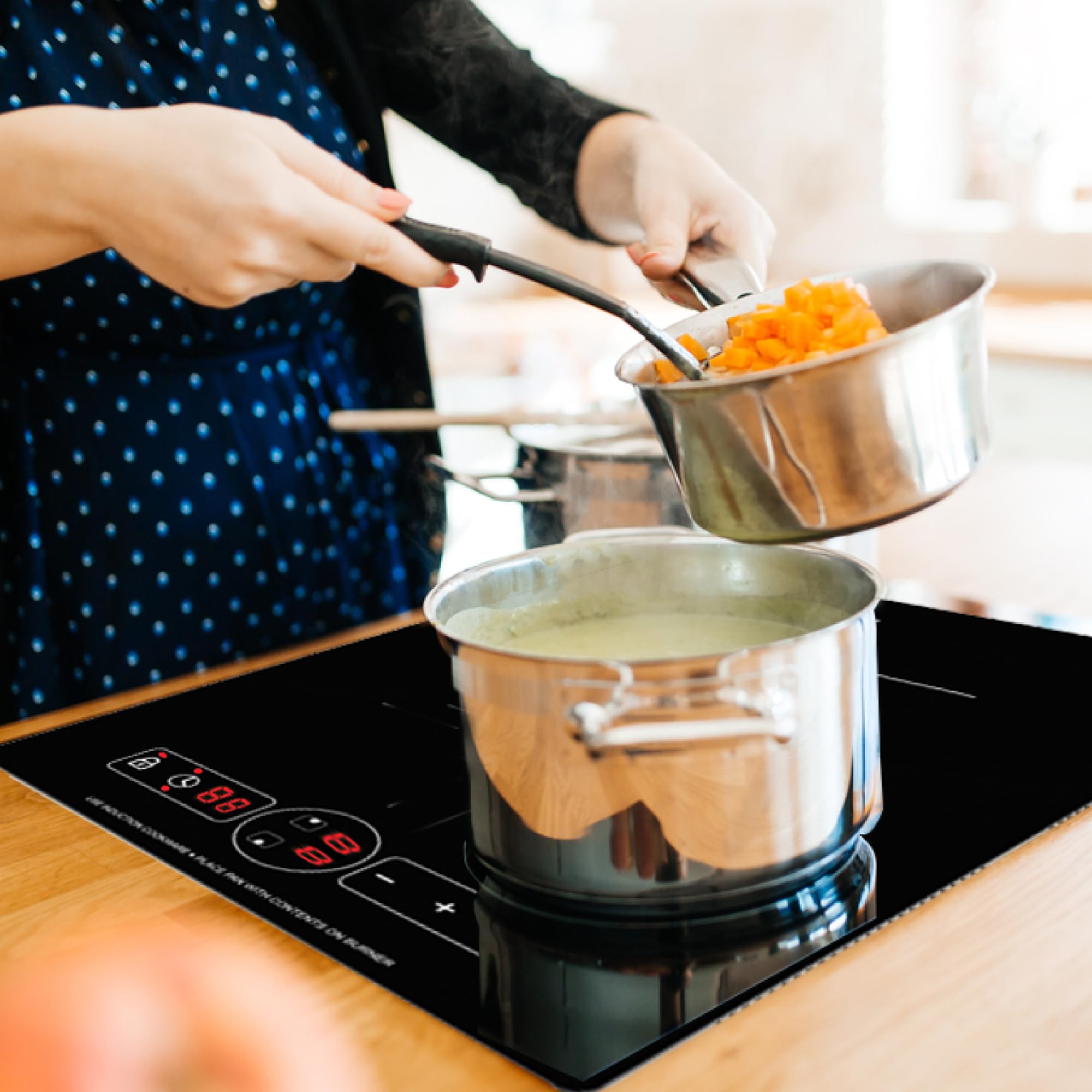 13" VERTICAL Equator Advanced Appliances 2-BURNER Induction Cooktop 9 POWER Built in/Freestand 110V