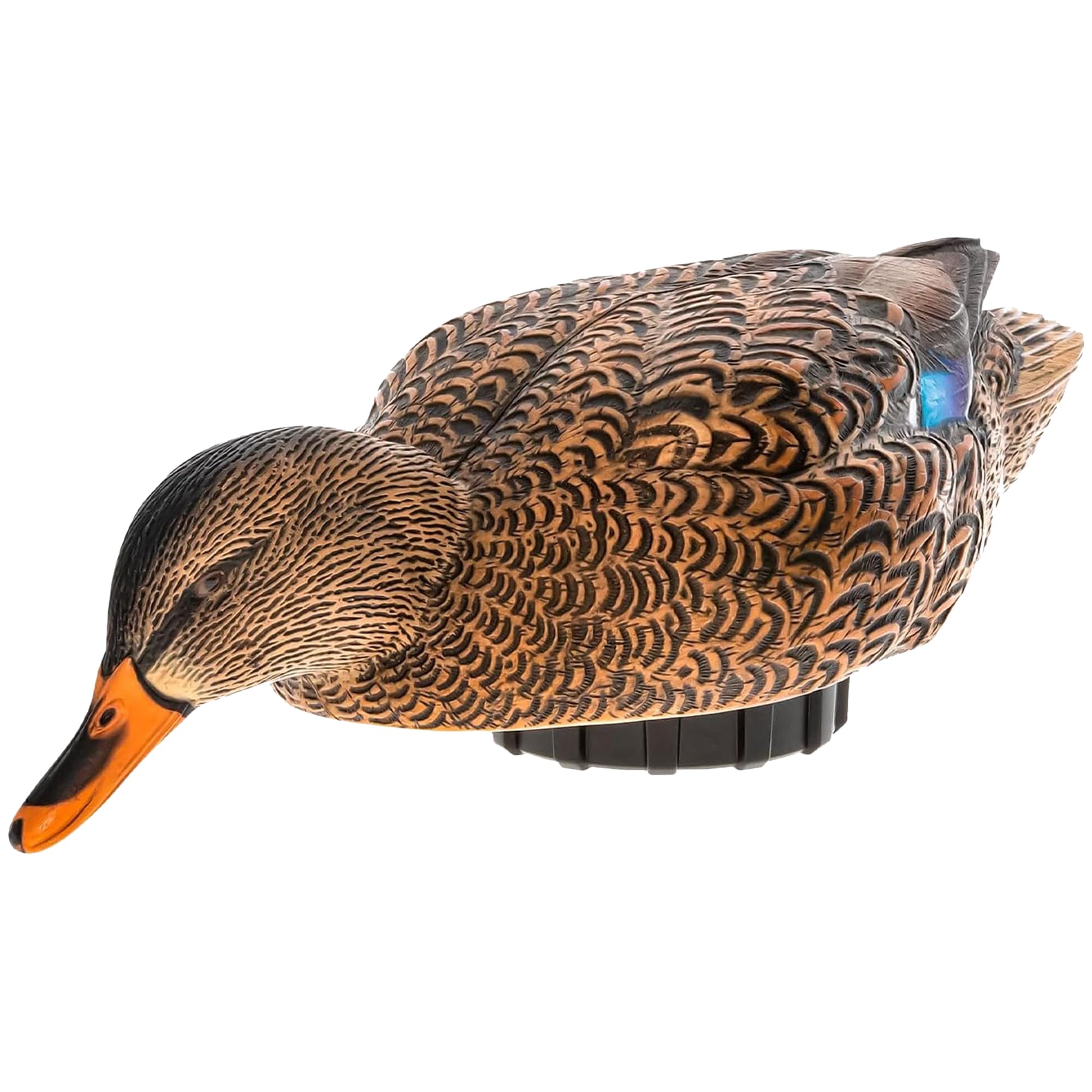 Avian-X Power Shaker Mallard Motion Hen Duck Decoy Floating Surface Feeder for Hunting with Shaker Module Foam Filled Body, Multicolor