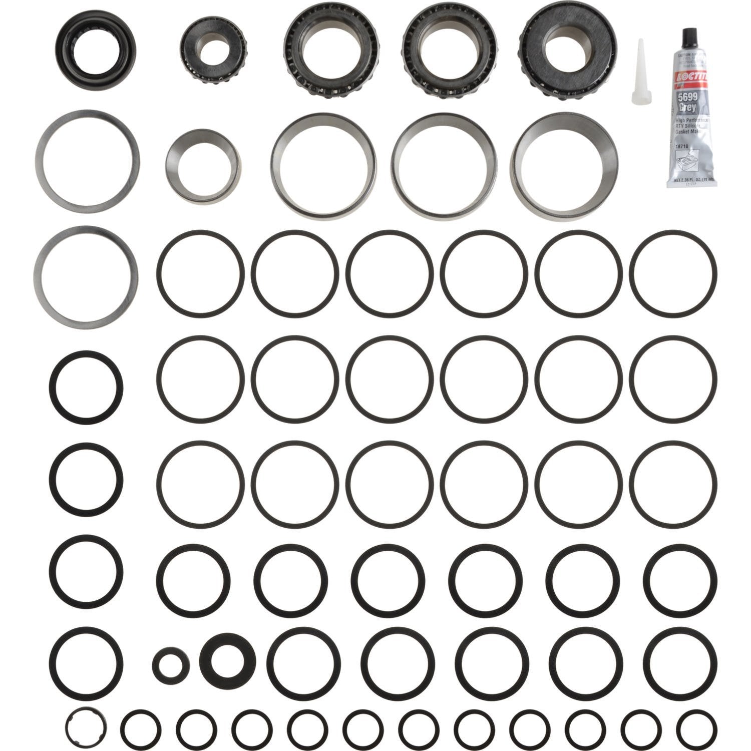 Differential Spicer 2017526 Bearing Overhaul Kit