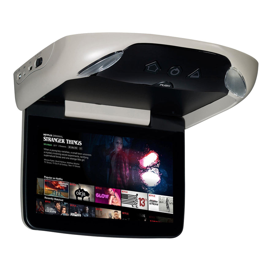 Overhead Audiovox VODA10 Entertainment System