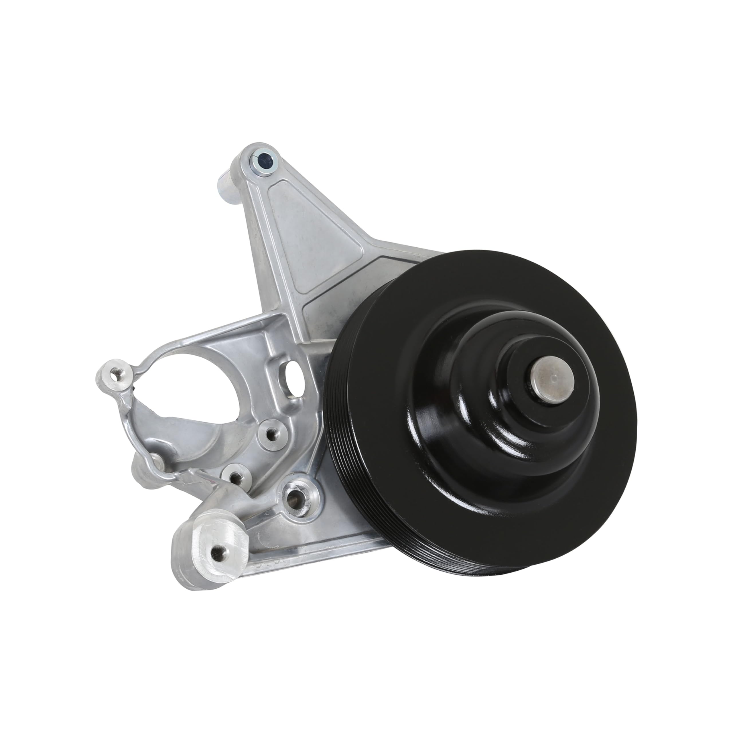 Holley Power Steering 20-222 Add-on System for LT4 - Natural