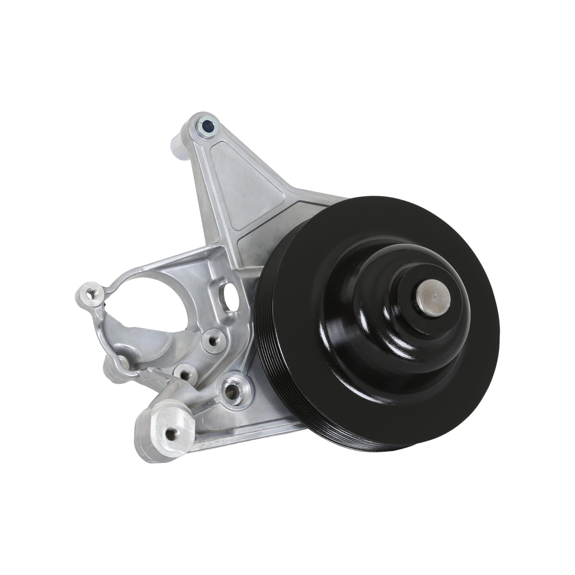 Holley Power Steering 20-222 Add-on System for LT4 - Natural