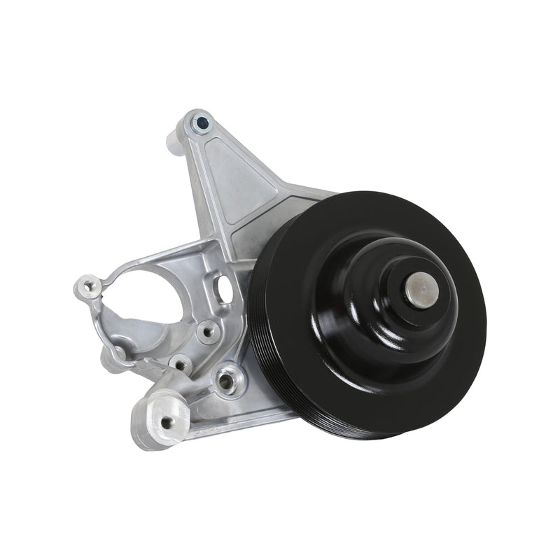 Holley Power Steering 20-222 Add-on System for LT4 - Natural