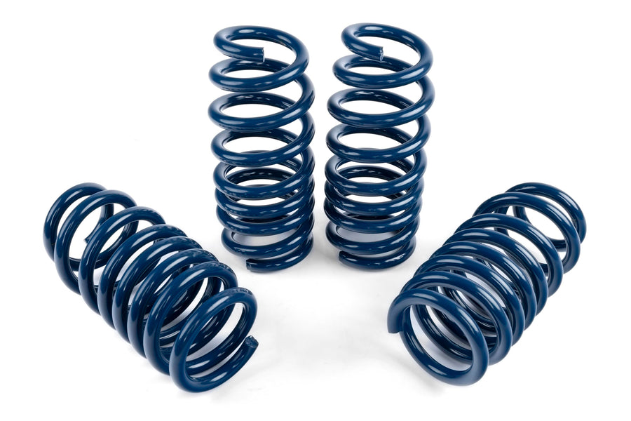 Dinan Performance Spring Set D100-0936 - F95, F96