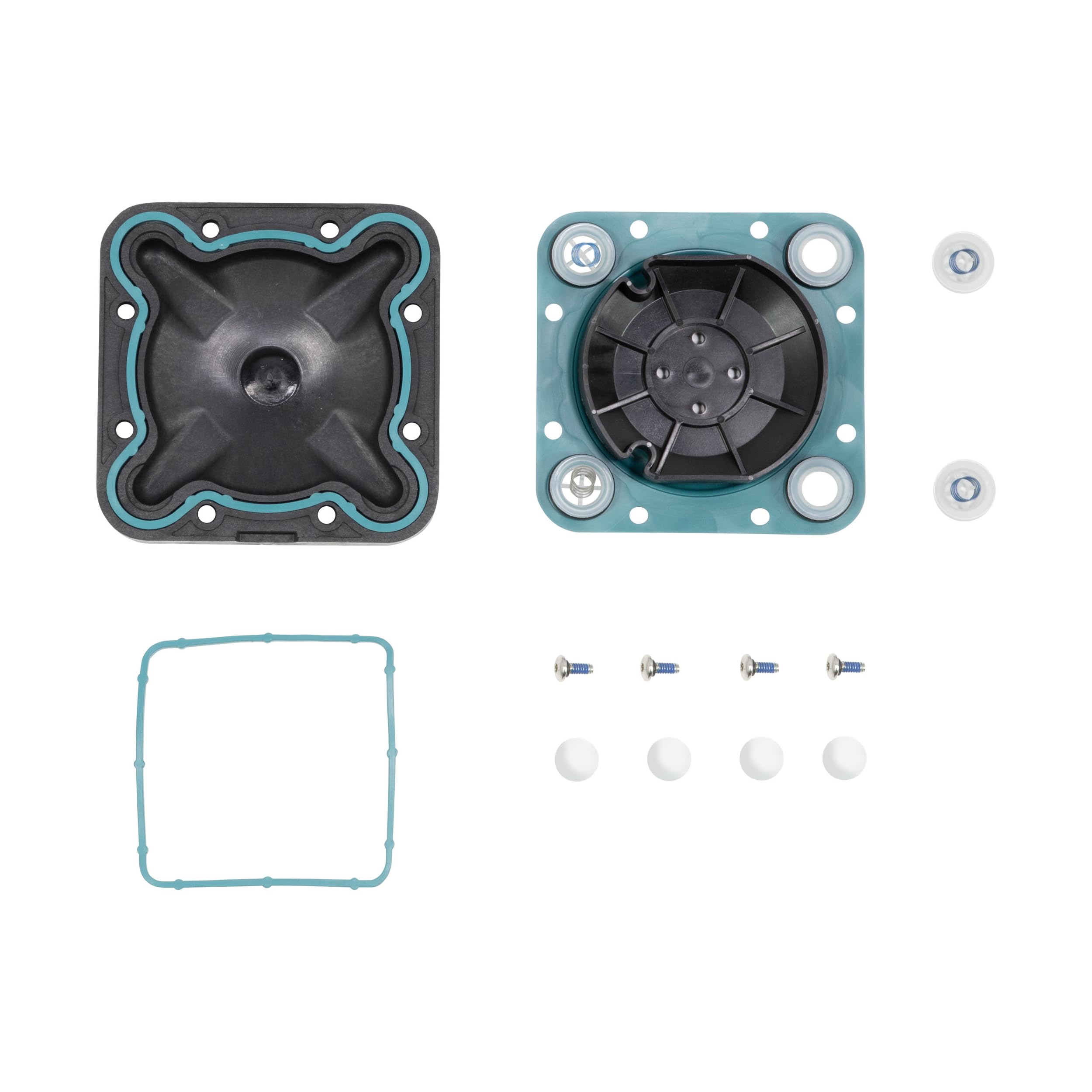 400B Fill Rite Santoprene Diaphragm Kit, 400KTH1178