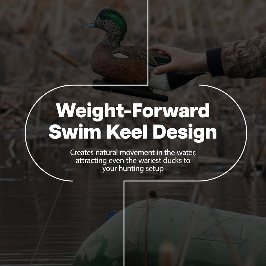 Avian X Wigeon Topflight Decoys, Rugged Realistic Floating Duck Decoys for Hunting, Weight Forward Swim Keel, Set of 6, Multicolor