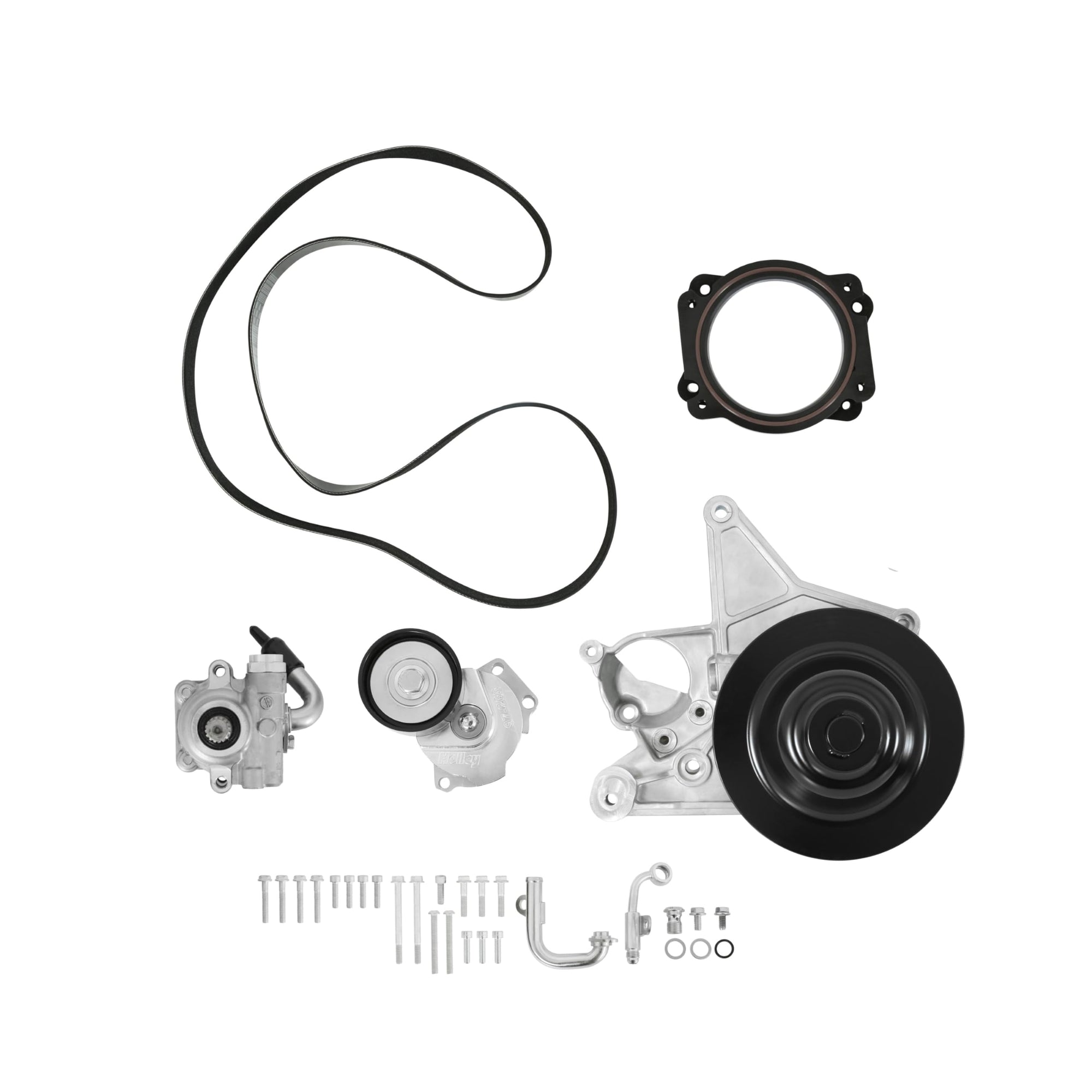 Power Steering Holley 20-233 Add-on System for LT5