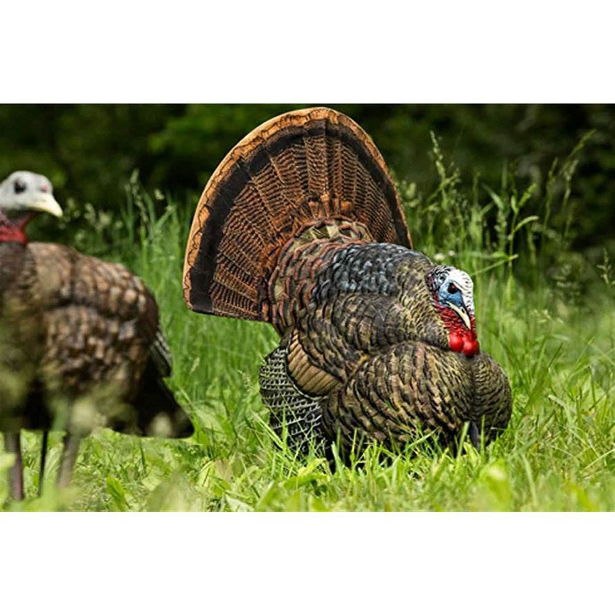 LCD Strutter Avian X Turkey Decoy