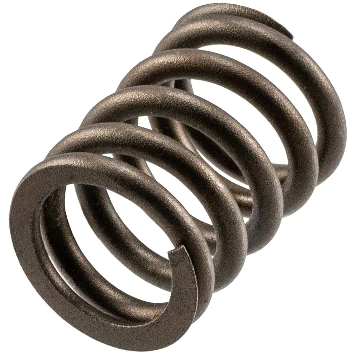 Engine Valve Spring Melling VS-1070