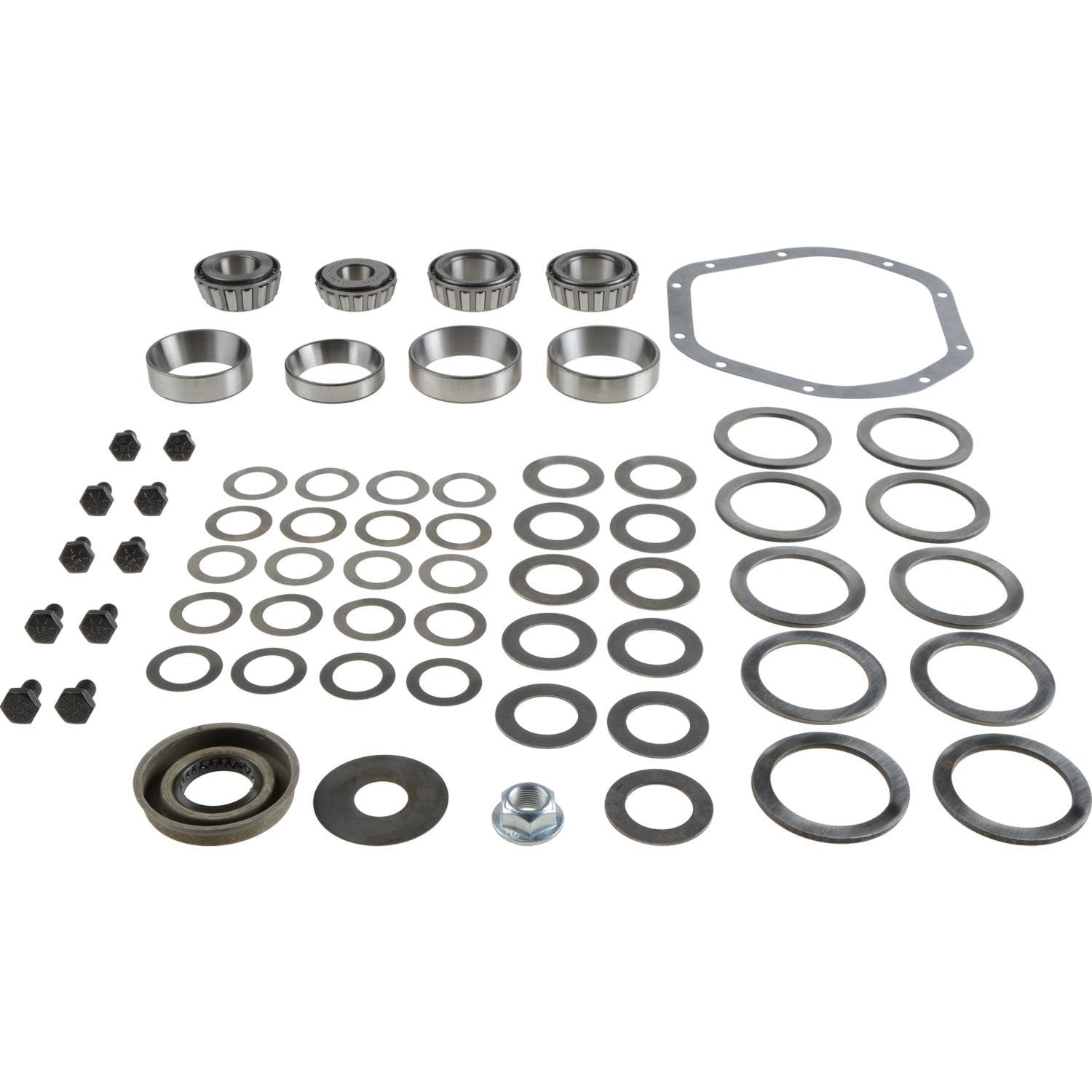 Differential Spicer 2017100 Bearing Overhaul Kit