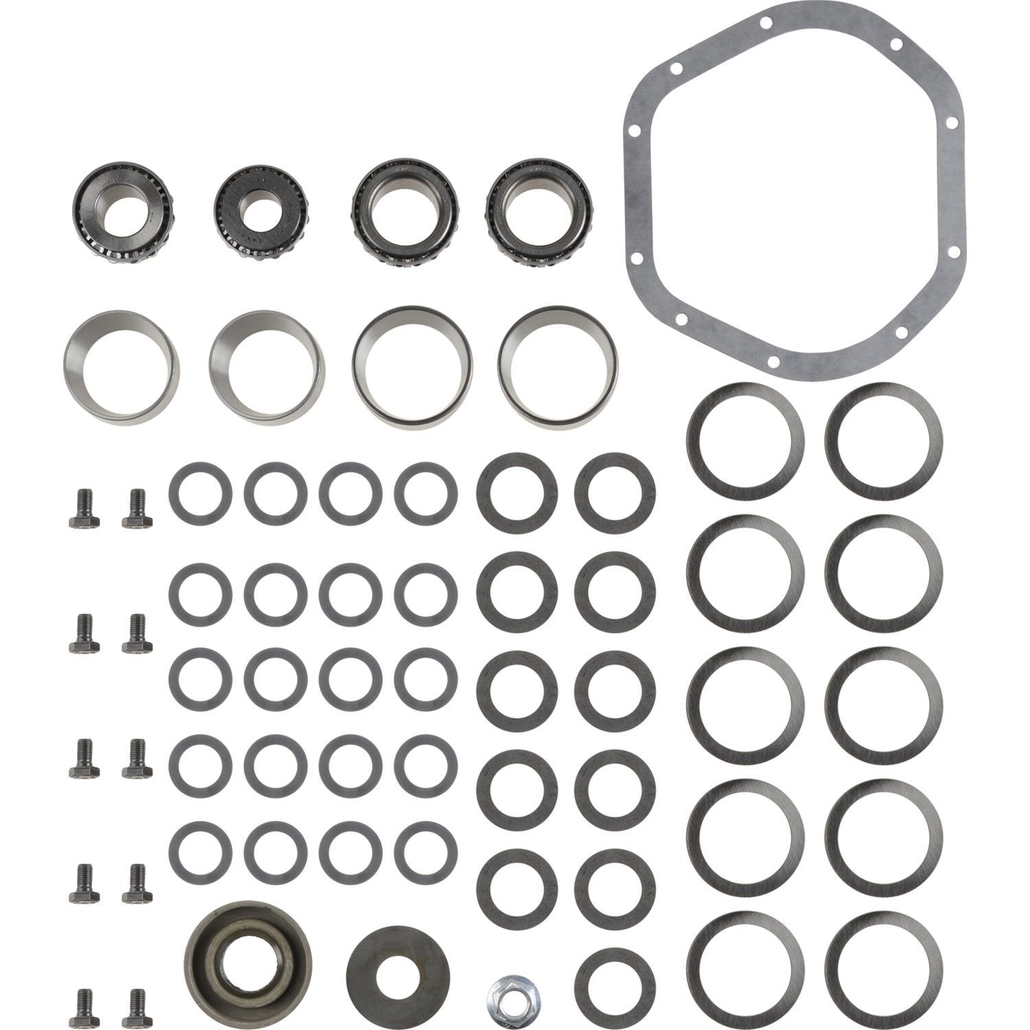 Differential Spicer 2017100 Bearing Overhaul Kit