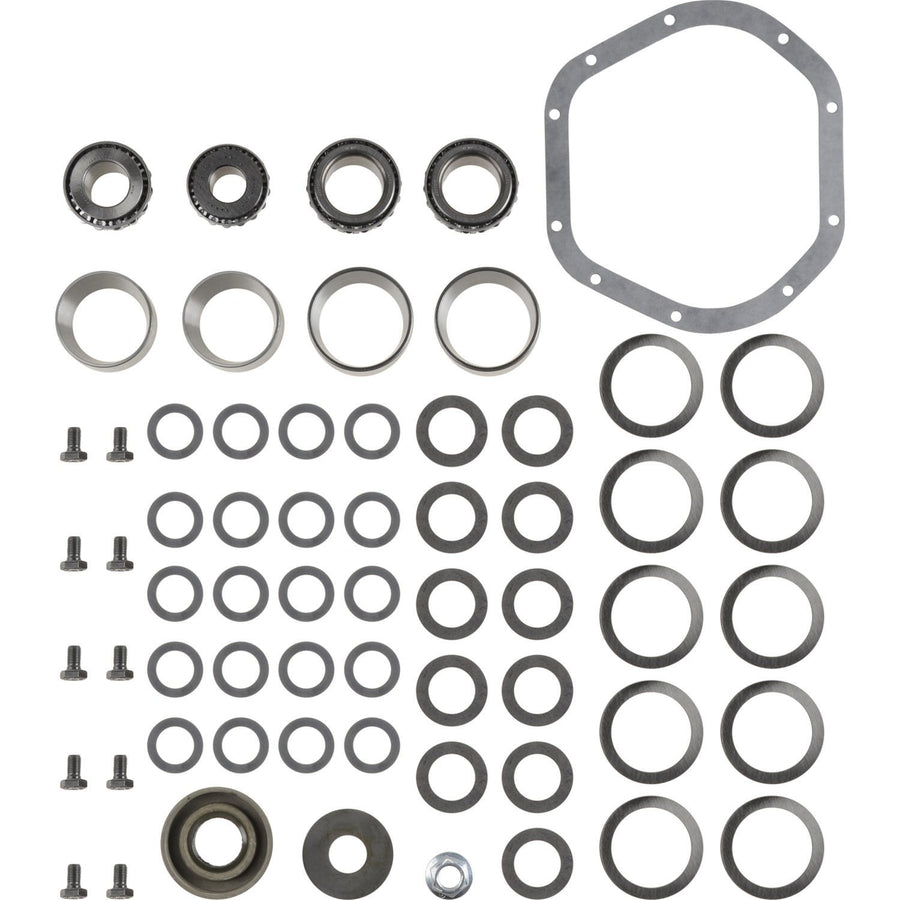 Differential Spicer 2017100 Bearing Overhaul Kit