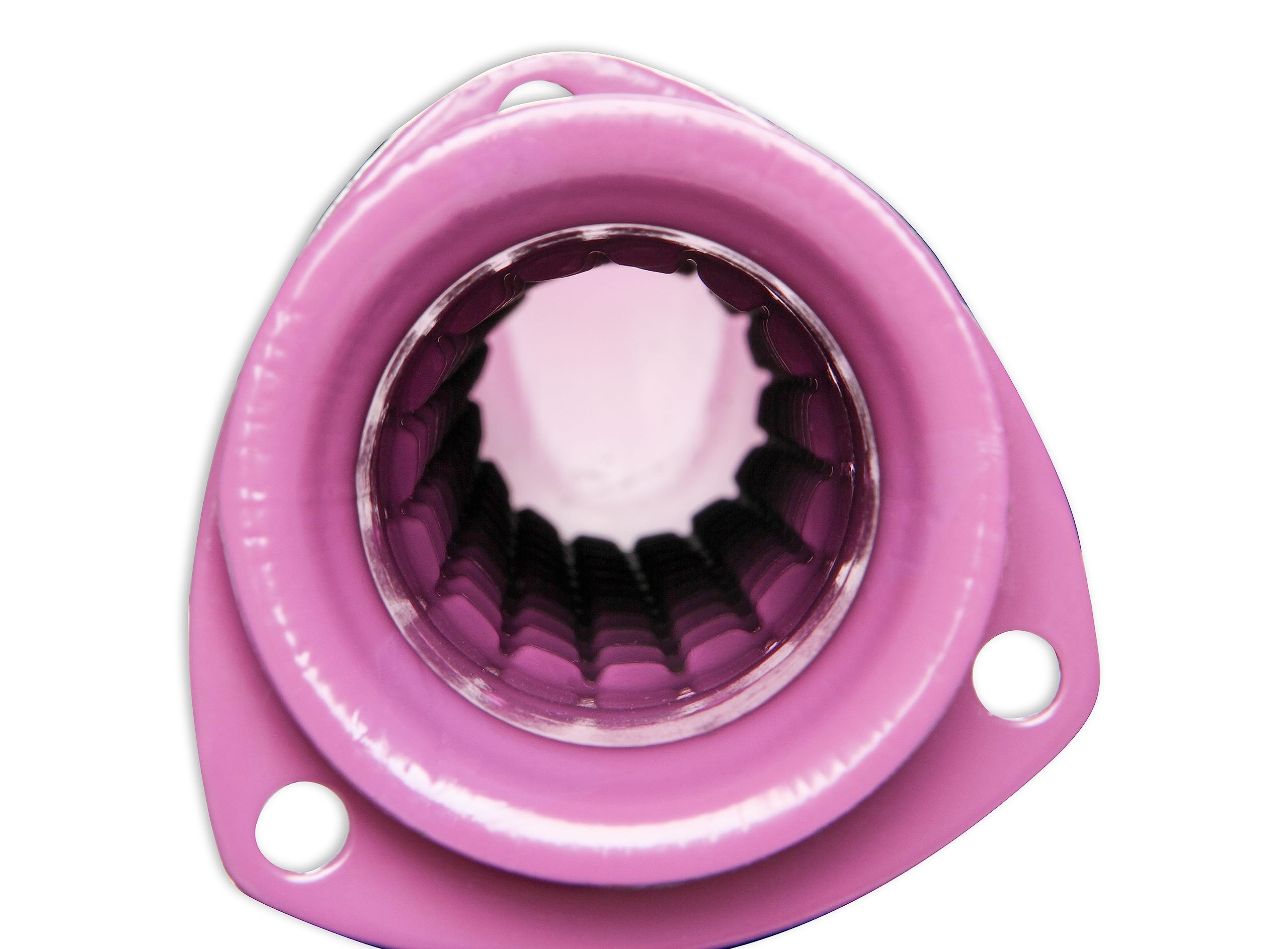 Purple Hornies Flowtech 50231FLT Glasspack