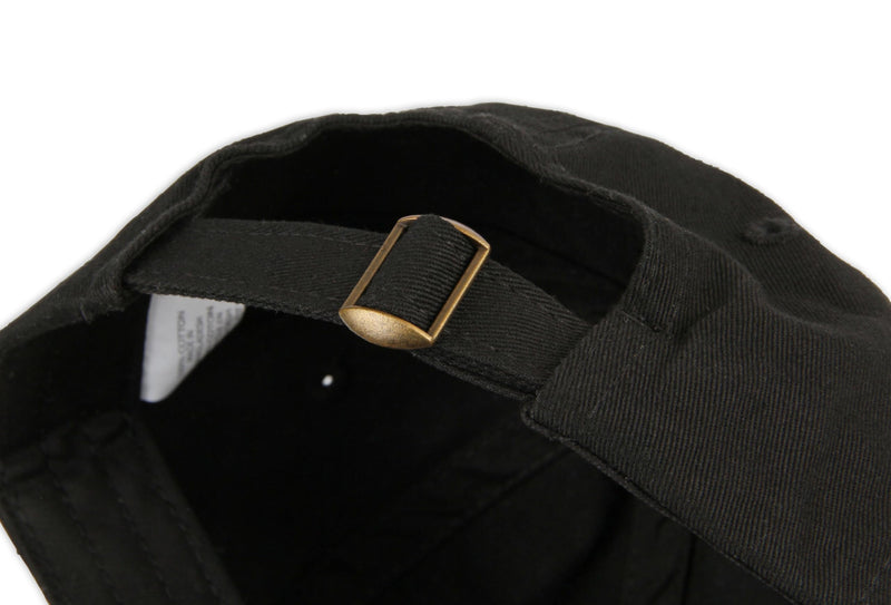 10019HOL Holley EFI Hat