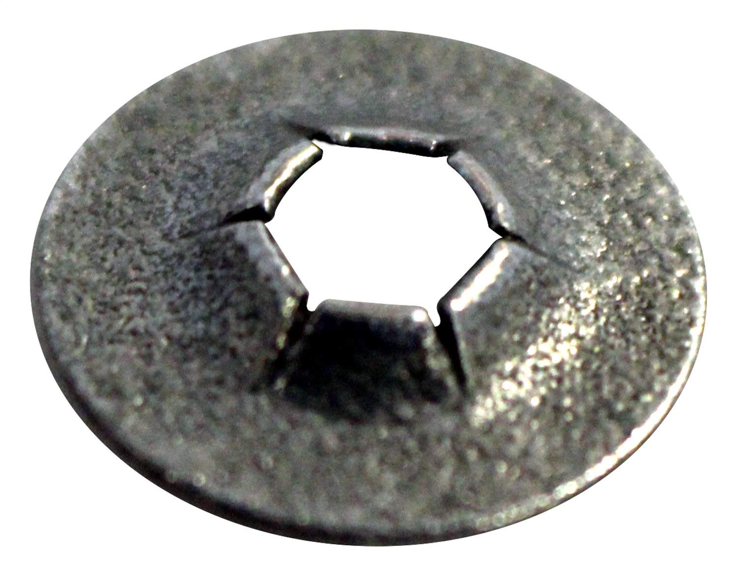 Nut Crown