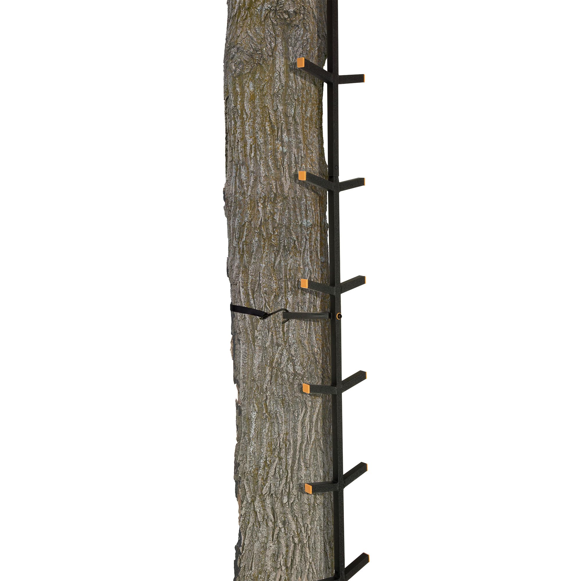 Muddy Quick Stick XL Tree Climbing Stick Climbing Gear, Deer Hunting Accessories for Elevated Deer Blinds and Tree Stands, Black