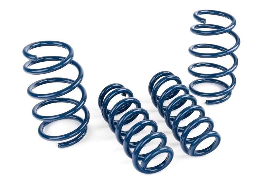 Dinan Performance D100-0938 Coil Spring Set