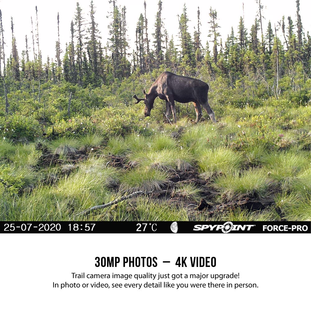 SPYPOINT Trail Camera FORCE-PRO 30MP Photo 4K HD Video w/ 54 Low-Glow LEDs for Image Quality Day or Night, 90’ Flash Range, 110’ Detection Range, LCD Setup Screen | NON-Cell cameras for hunting