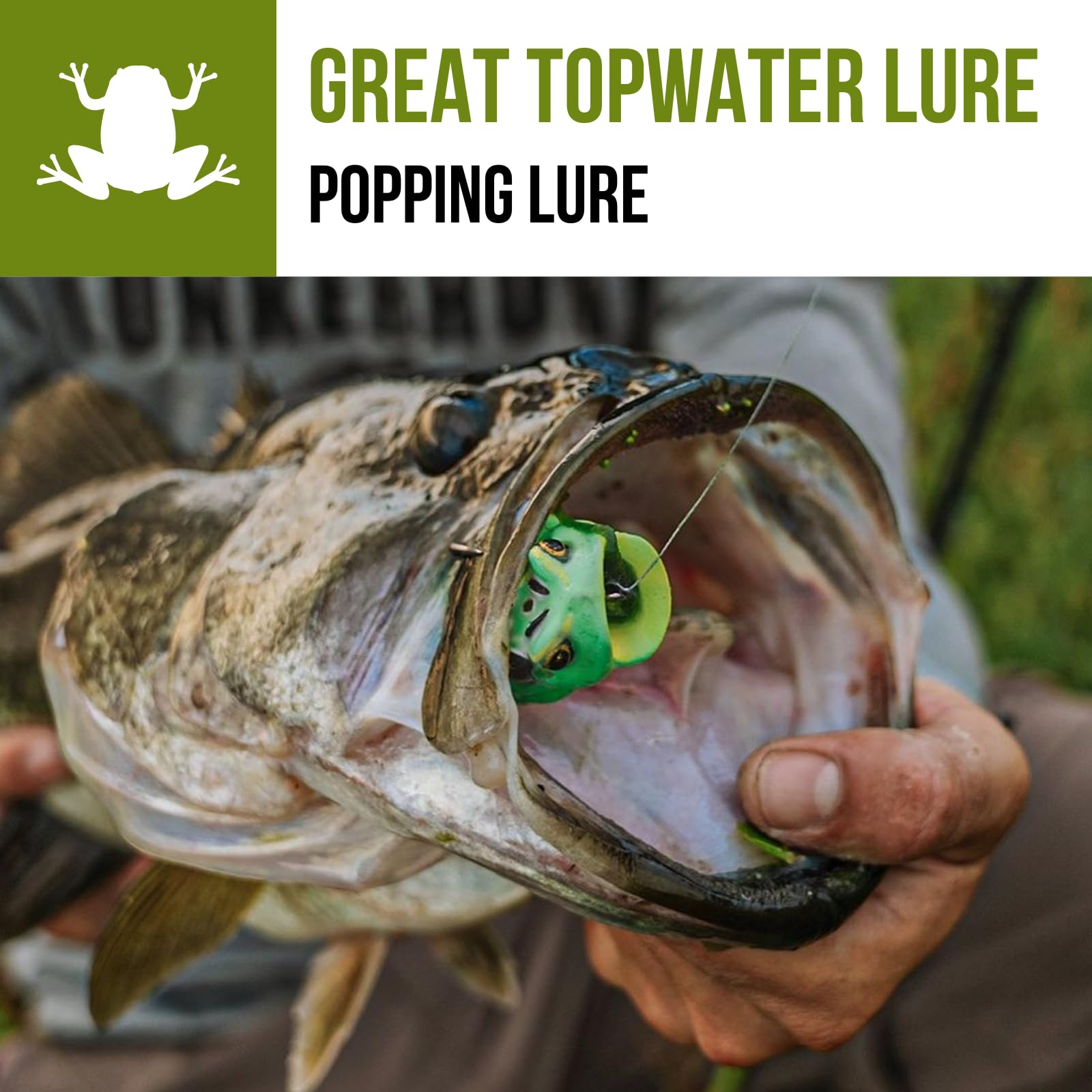 Frog Fishing Lure Lunkerhunt for Bass Fishing | Popping Frog 1/4 oz | Topwater Fishing Bait with Weedless Hooks, Hollow Body (Green Tea)