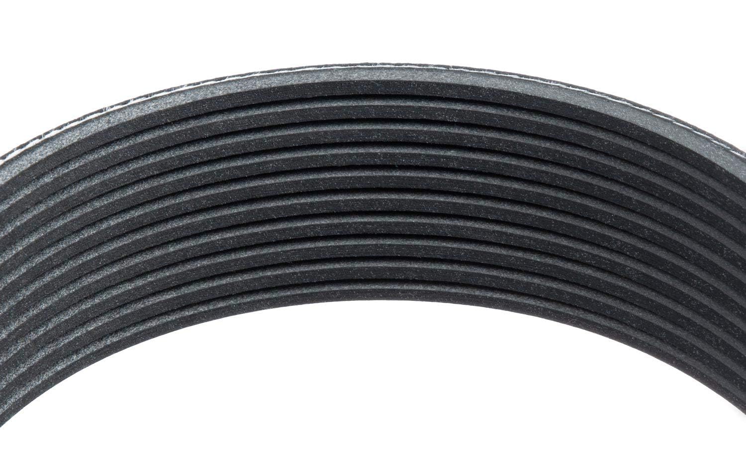 Standard Multi V-Belt Goodyear Belts 1100870