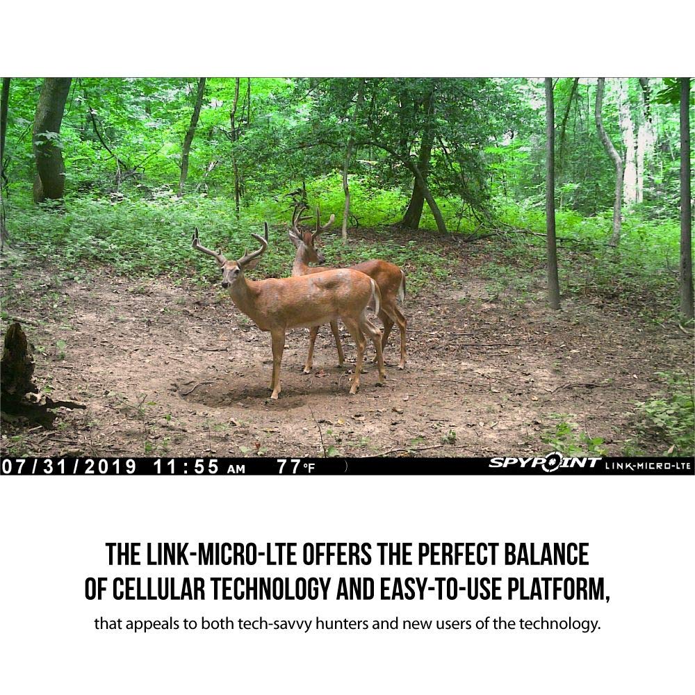 SPYPOINT Trail Camera Cellular - 10MP, 80' Detection, LTE-Capable, 0.5sec Trigger, for Hunting