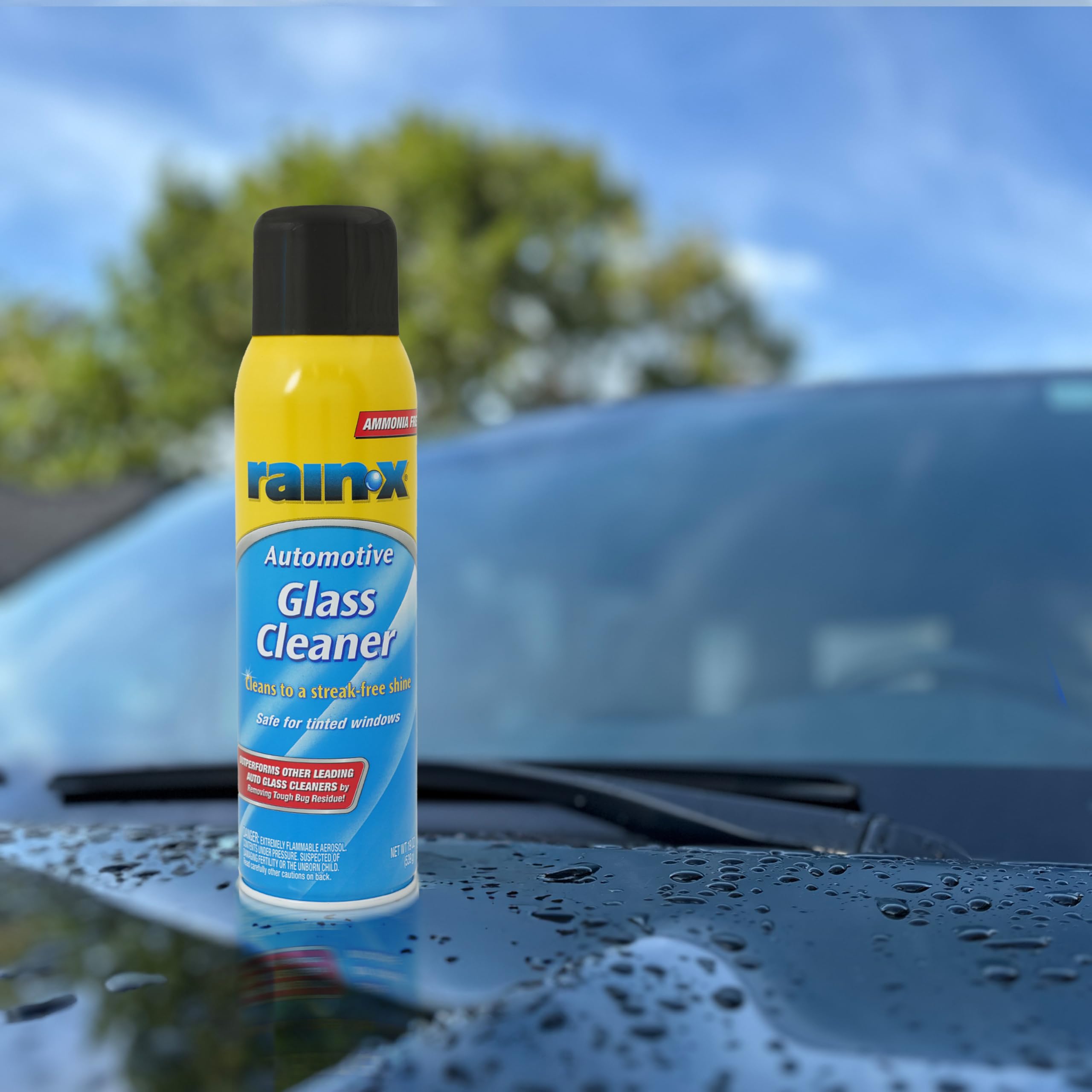 630175 Rain-X Glass Cleaner Aerosol 19oz